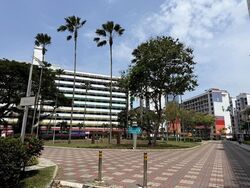 Blk 10 Jalan Batu (Kallang/Whampoa), HDB Executive #626488801